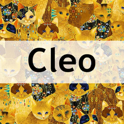 TT Cleo
